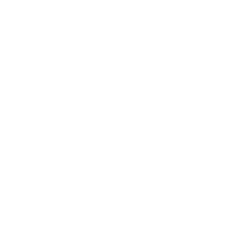 Farbnuance GmbH - Malermeister-Fachbetrieb aus Pirna - Icon Fassade