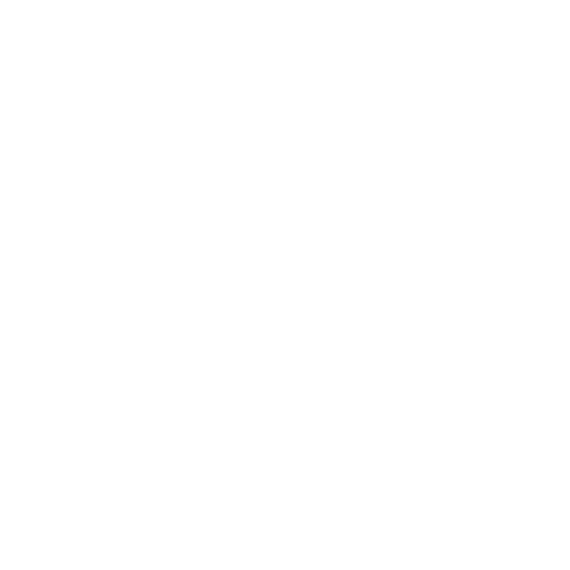 Farbnuance GmbH - Malermeister-Fachbetrieb aus Pirna - Icon Meisterbetrieb